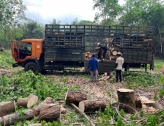 Thu mua cao su, sản xuất phôi cao su xẻ sấy