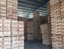 Phôi gỗ cao su tăng giá, hút hàng vào từ năm 2023 trở về sau